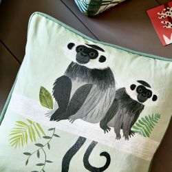 Villa Nova Picturebook
