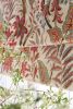 Colefax 1003983 72dpi