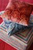Colefax 1004002 72dpi