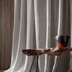 Mark Alexander Edo